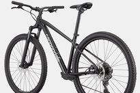 Rower MTB 29'' Cannondale TRAIL 2 - 5